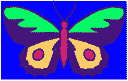 Butterfly 55КB